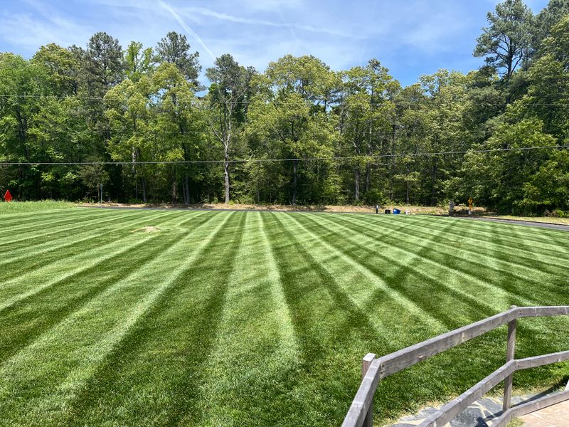 Mowing
