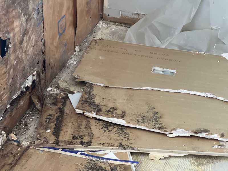Mold Remediation