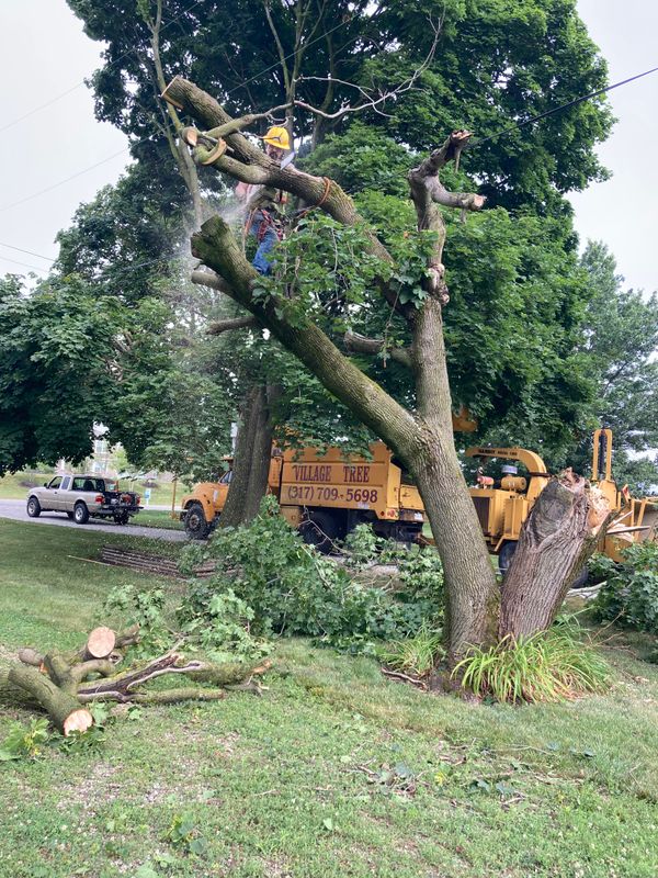 Storm Damage Clean Up