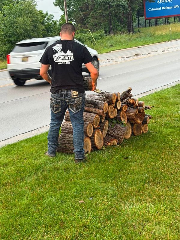 Tree Removal