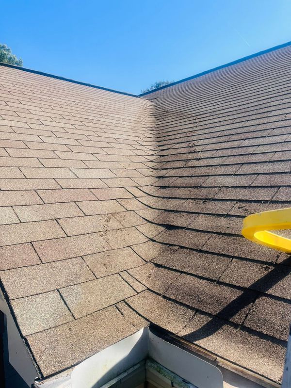 Roof and Gutter Cleaning