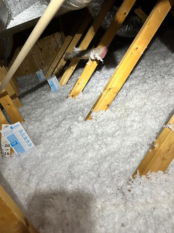 Attic Inspections
