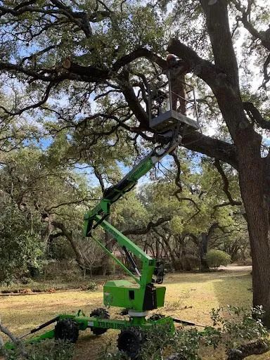 Tree Pruning