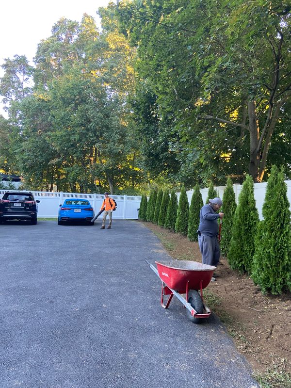 Landscaping
