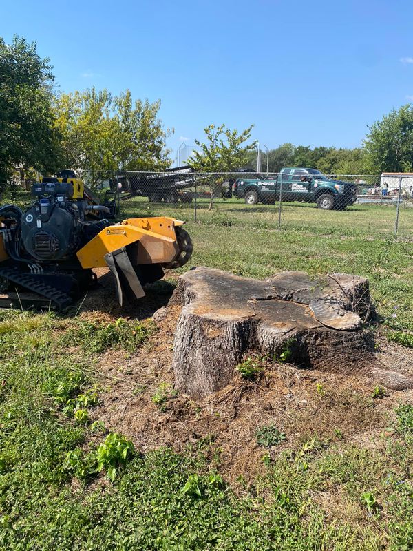Stump Grinding