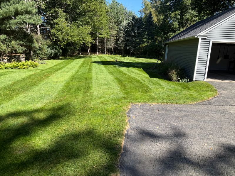 Lawn Maintenance
