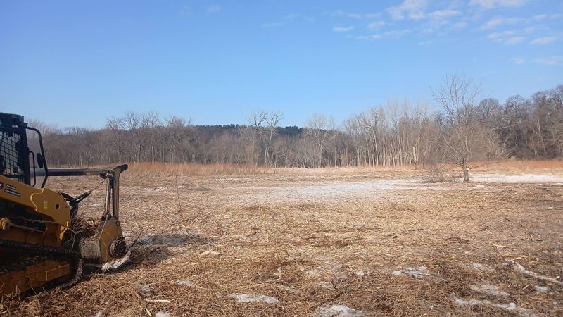 Forestry Mulching