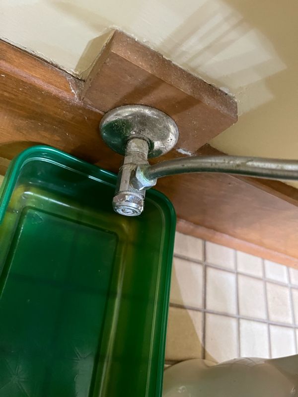 Efficient Plumbing Repair: Revitalizing Cynthia Lane in Whiteland, IN