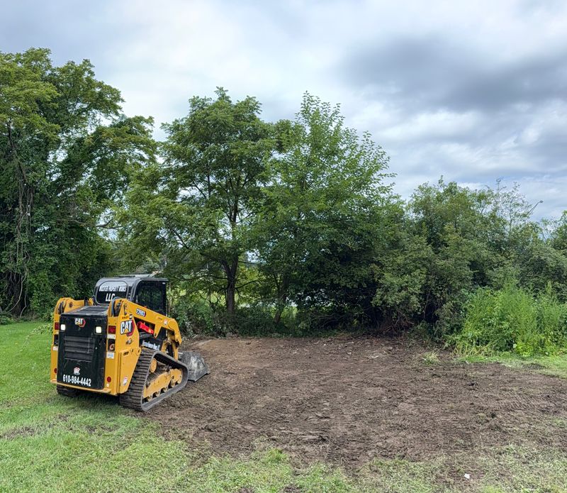 Land Clearing & Mulching