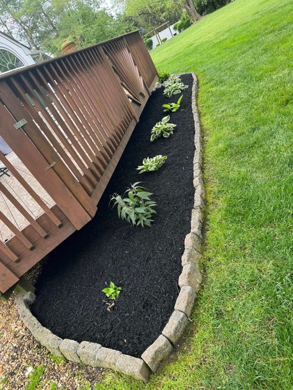Landscape Design