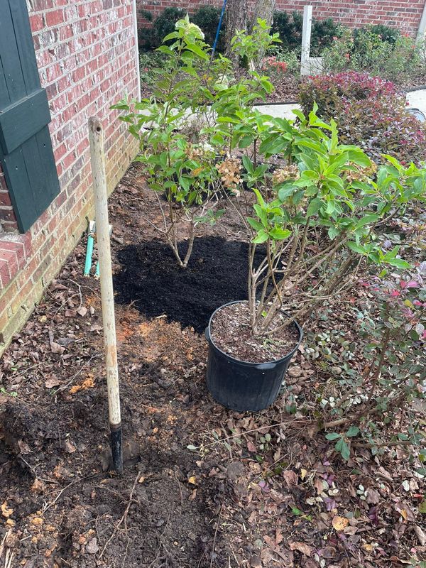 Landscape Design & Planting