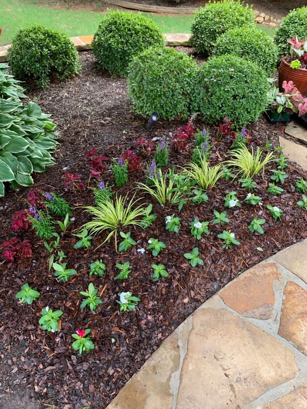 HOA Maintenance