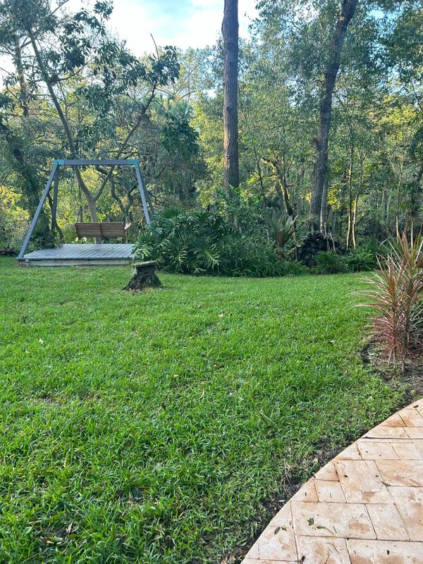 Lawn Care and Maintenance