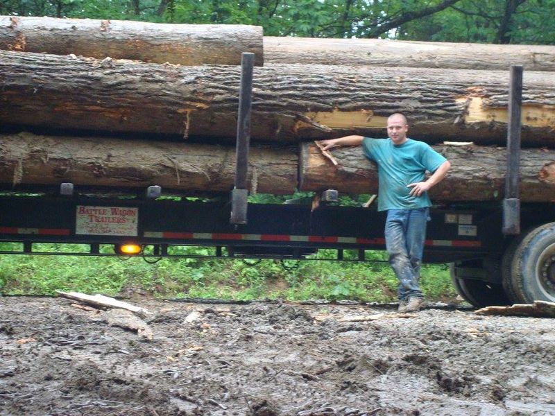 Logging gallery