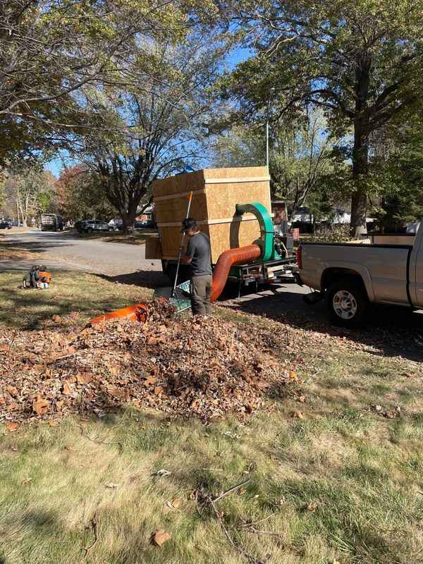 Leaf Removal