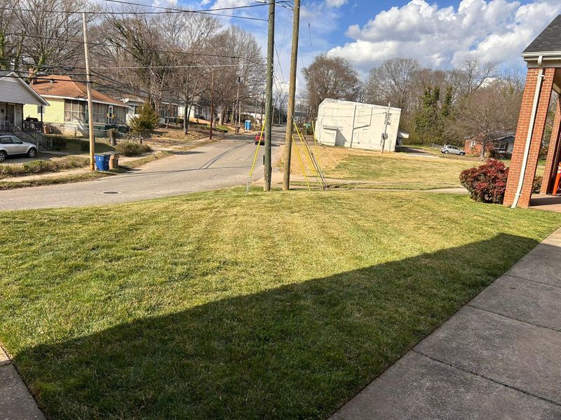 Landscaping