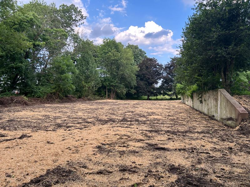Land Clearing