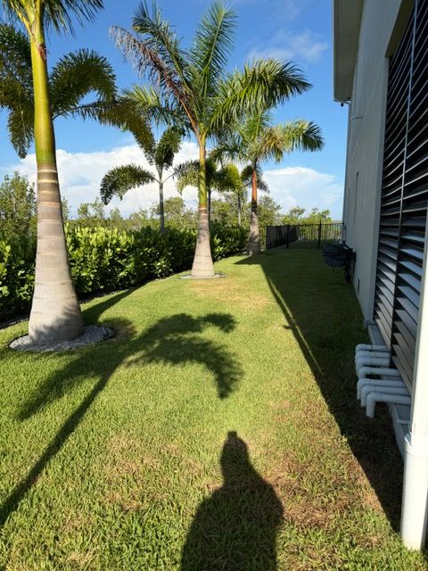 Lawn Care and Maintenance