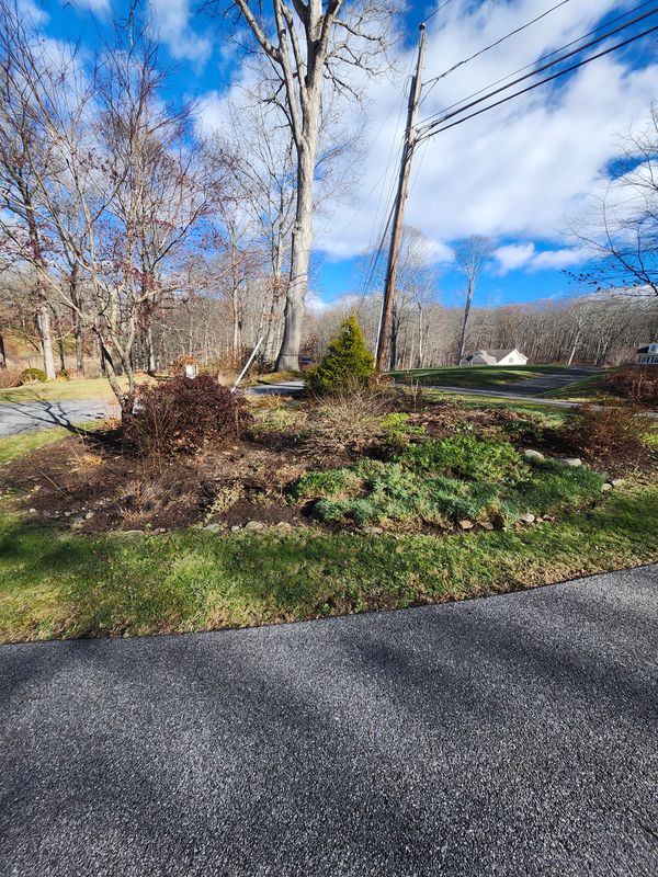 Fall Cleanups