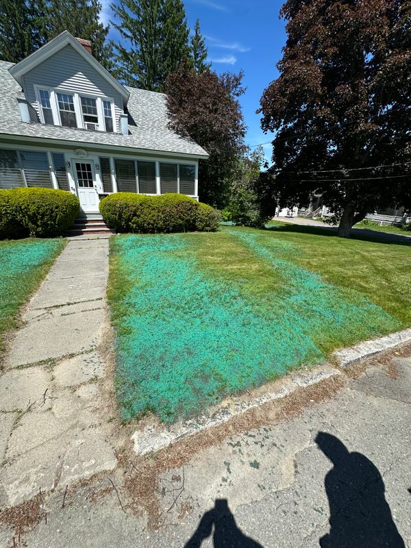 Hydroseeding Services