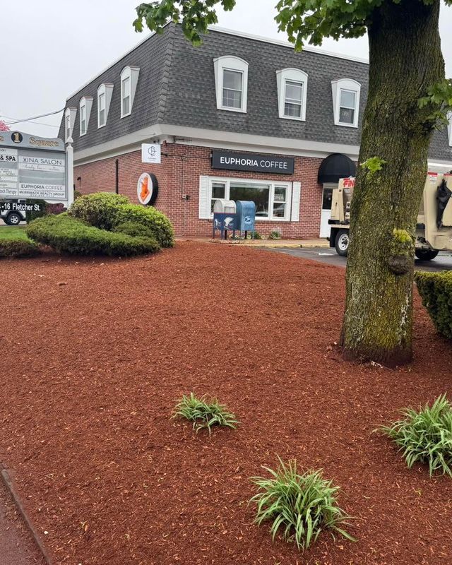 Lawn Care & Maintenance