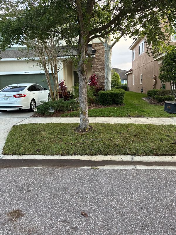 Swift Sod Restoration in Lithia: Transforming Patchy Lawns with Precision and Care