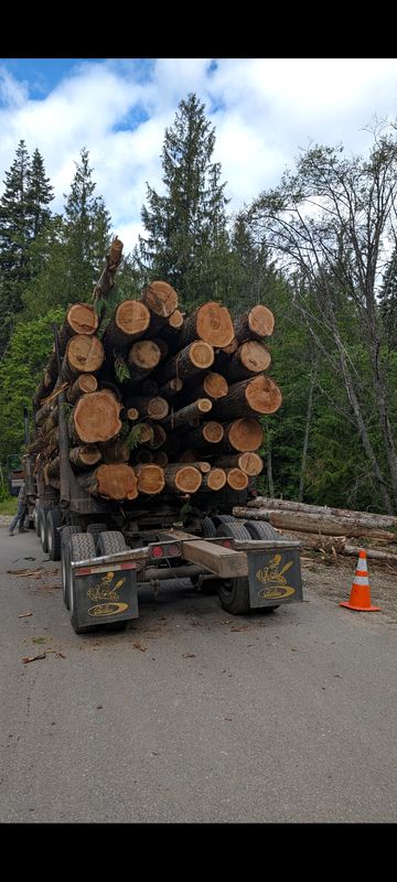Small Scale Logging