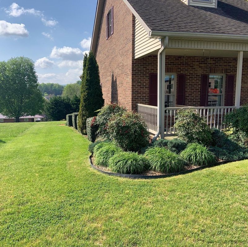 Shrub Trimming