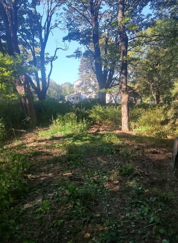 Land Clearing and Site Preparation