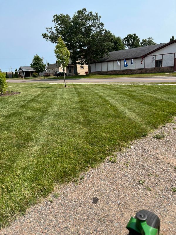 Lawn Maintenance