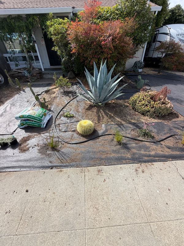 Landscaping