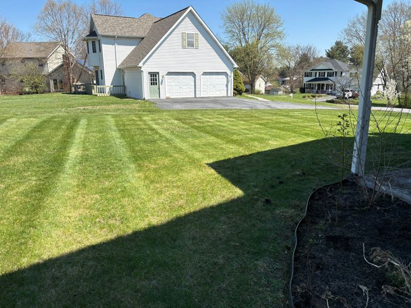 Lawn Maintenance