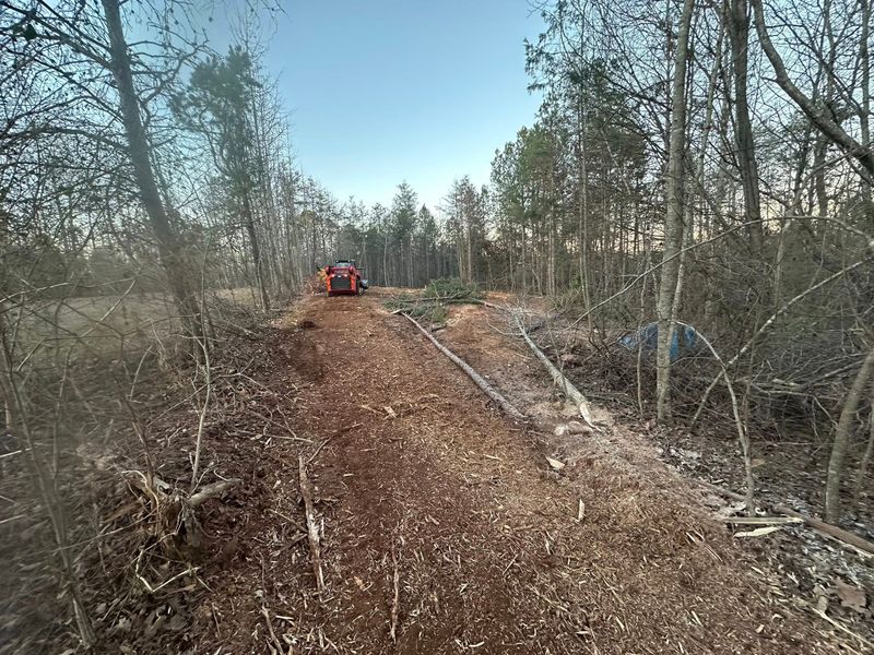 Skid Steer Dirt Work