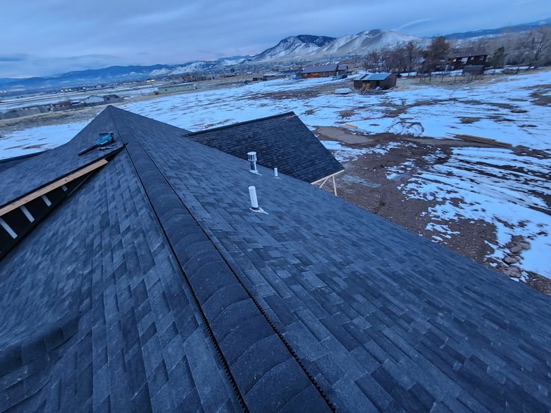 Shingle and Metal Roofs
