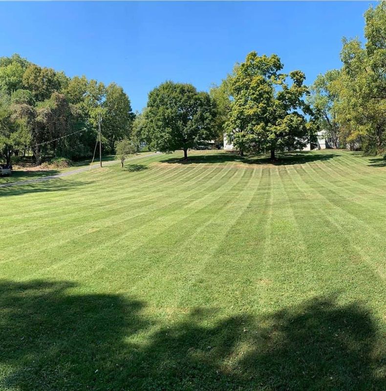 Lawn Maintenance gallery