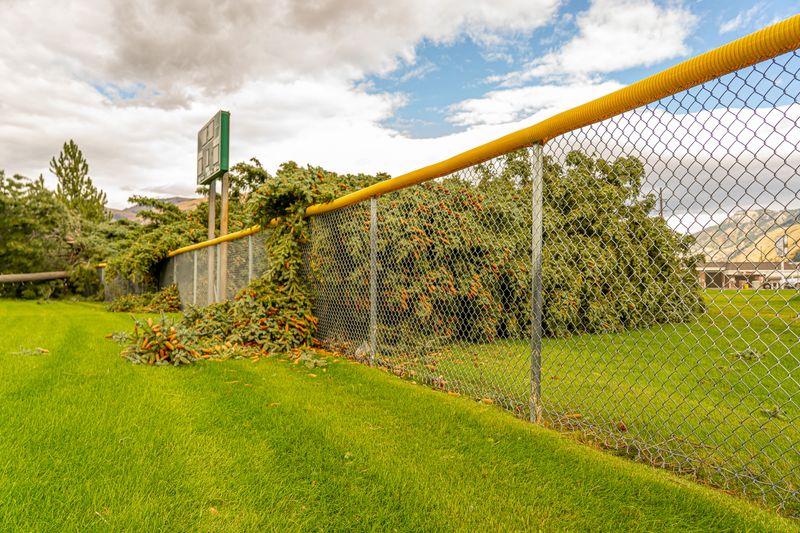 Fencing