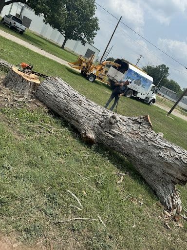 Tree Removal