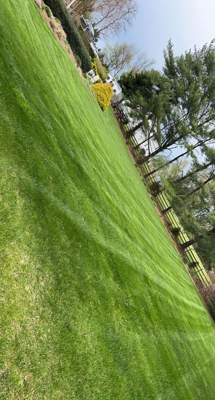 Lawn Aeration and Overseeding