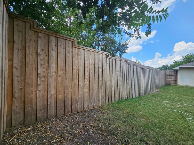 Fence Staining & Sealing