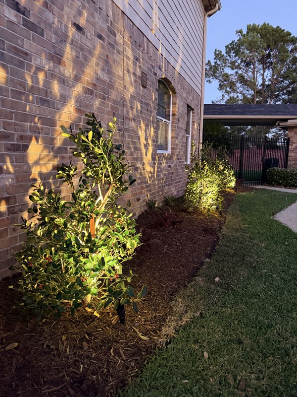 Mulch Installation