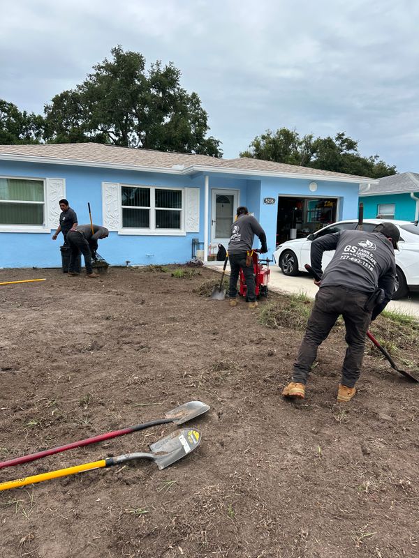 Sod/Artificial Turf