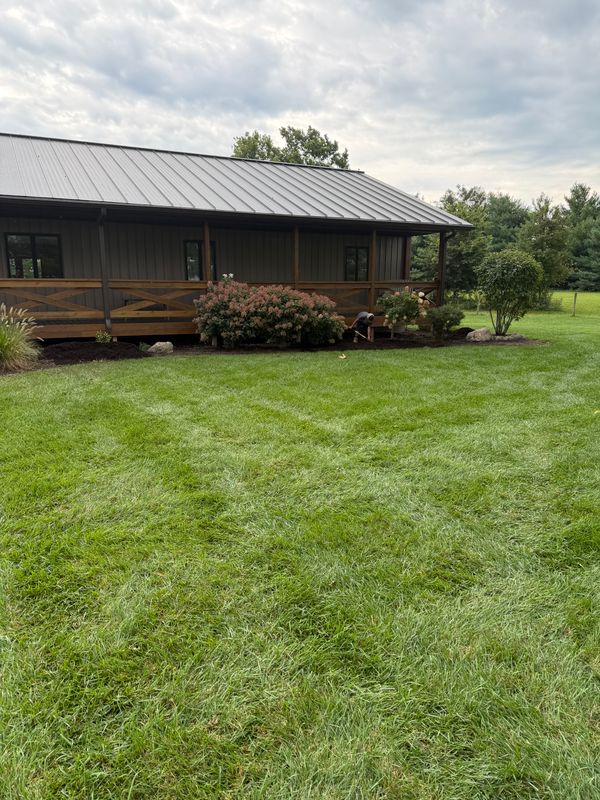 Lawn Care and Maintenance