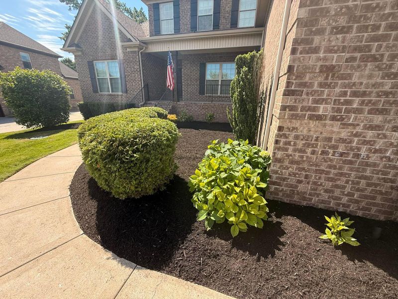 Mulch Installation
