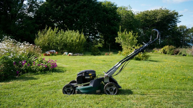 Lawn Maintenance