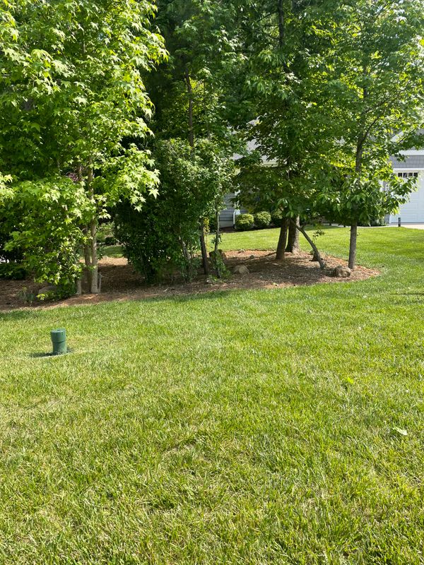 Mulch Installation gallery