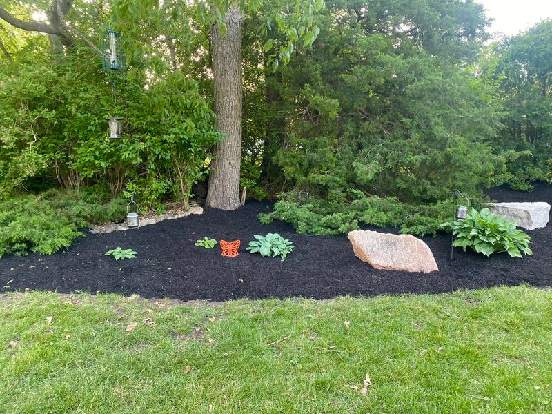Landscape Installation