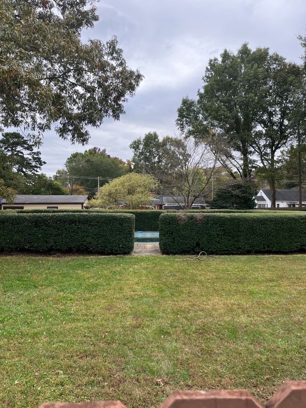 Shrub Trimming gallery
