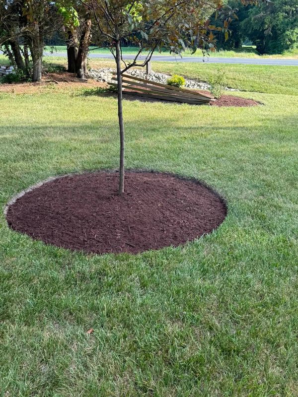 Landscaping