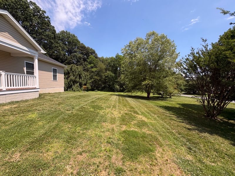 Lawn Maintenance