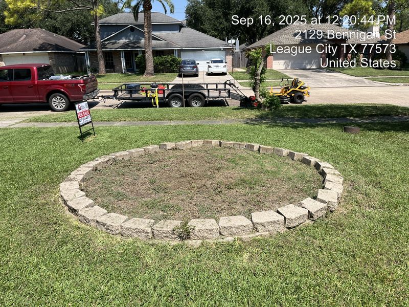 Lawn and Yard Maintenance